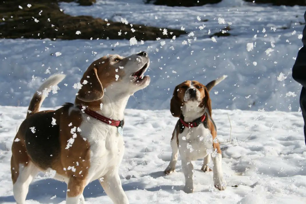 GerardoLoras tweet media