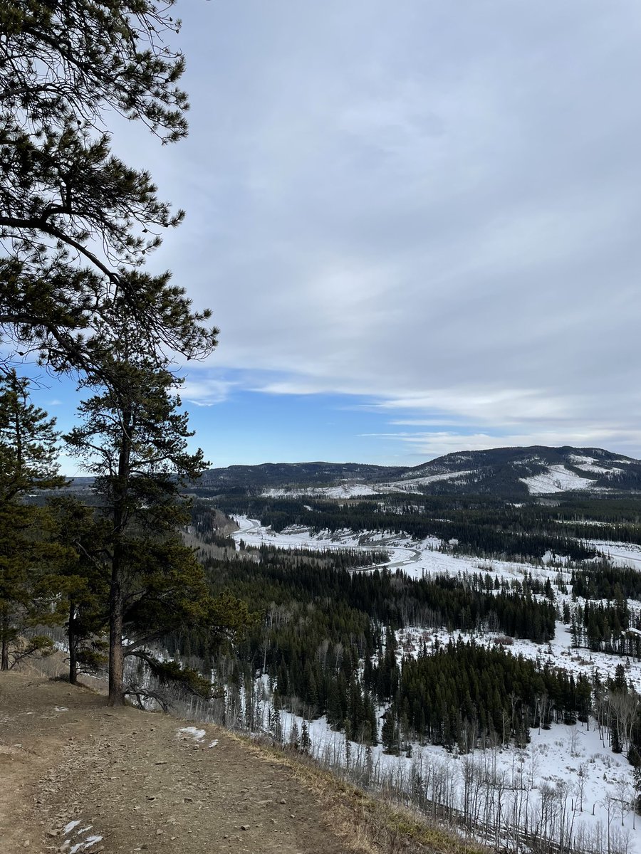 LaureenRegan's tweet photo. Day 50!!!!! Of #100daysofwalking and we headed west to #Kananaskis and did the #FullertonLoop. Great hike, but some slick sections. Glad to have enjoyed the outdoors ahead of the big weather change comping to town. @yvonnehansen5 @DeirdreGiblin1 @marianne6x7 @MaryLizTrant1 https://t.co/32L136oXOX