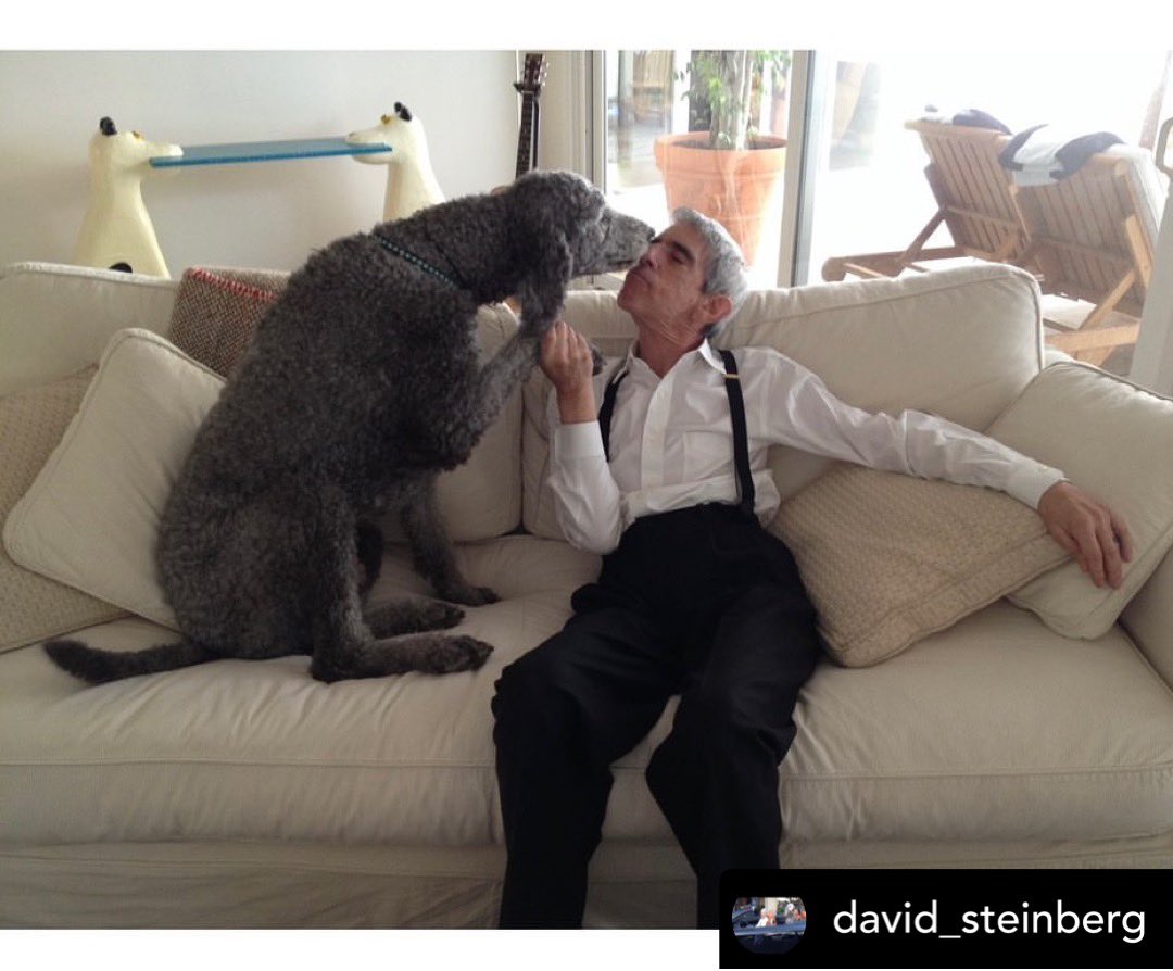 David Steinberg tweet media