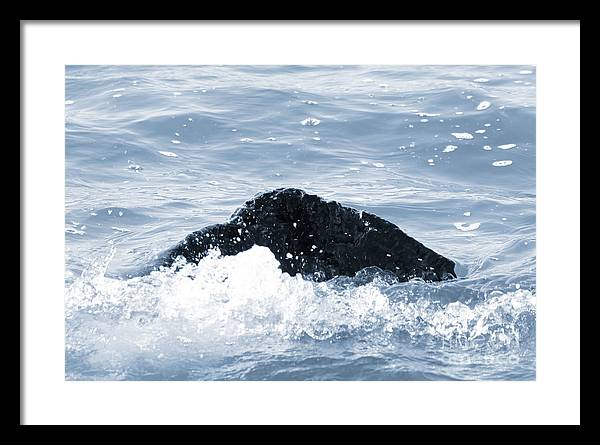 alophoto1's tweet photo. "The Rock" by Anita Oakley, Nature Photographer.  'Truly He is my Rock and my salvation; He is my fortress; I will never be shaken.' Psalm 62:2 NIV https://t.co/q9gnkvYFbR
#ChristianArtist #ArtforSale #Inspirational #NaturePhotography #art4sale #natureartist #buyartonline https://t.co/dAjHDQRPPt