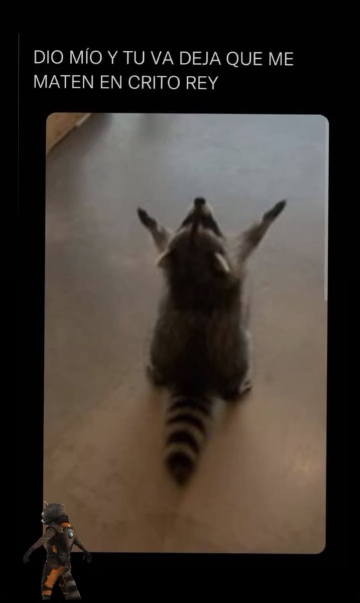 chelyjohn's tweet photo. #MapacheRD #FreeMapache https://t.co/yK85gcmrGo
