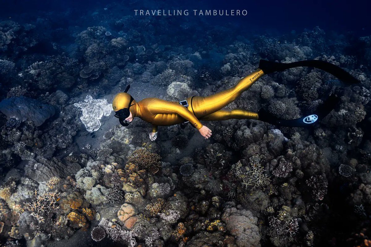 Work And Adventure tweet media