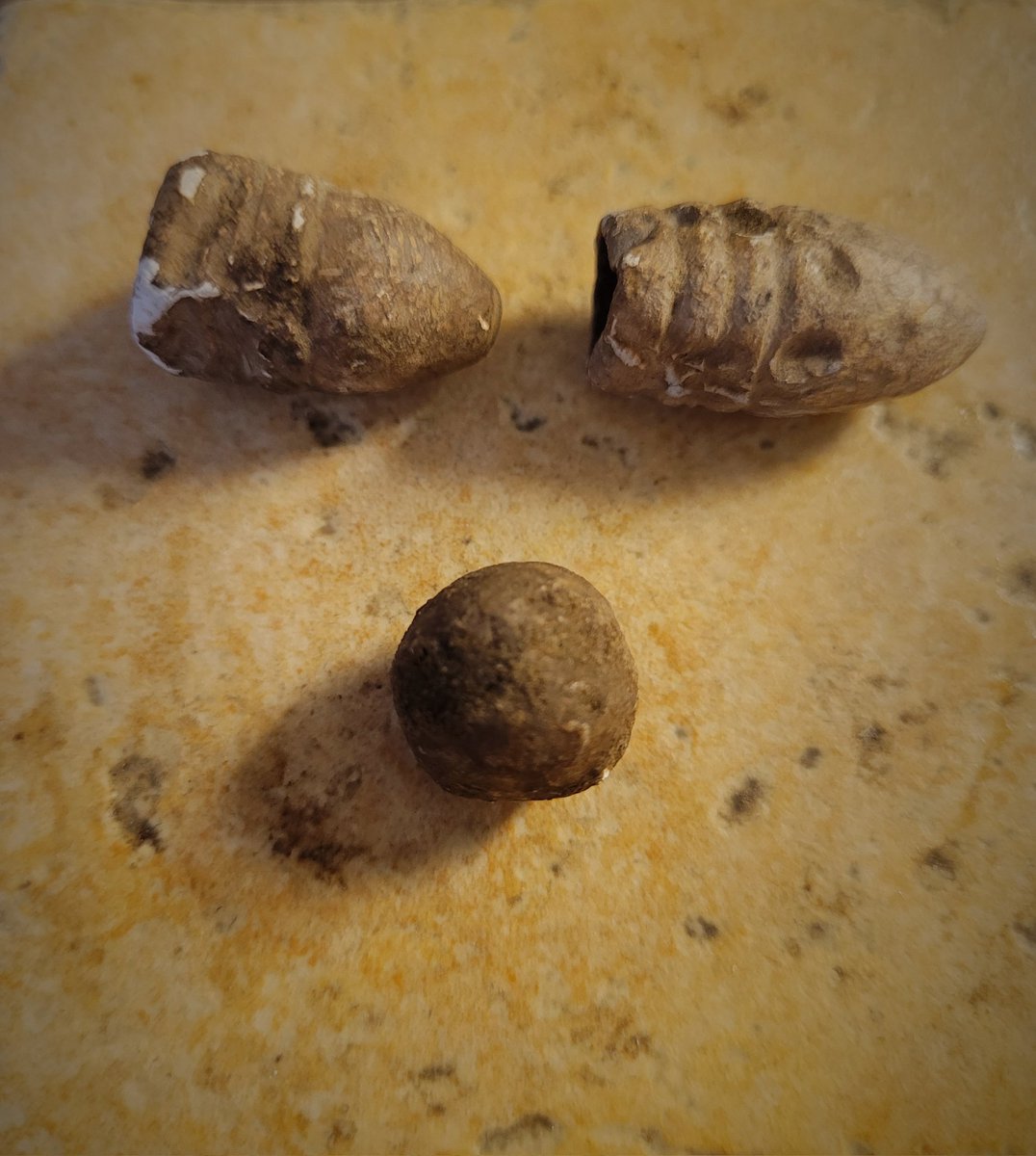 sblizz334's tweet image. Nice little hunt today. Musket Ball, 3 Ringer w/teeth marks, cut bullet. #civinthepocket #digon