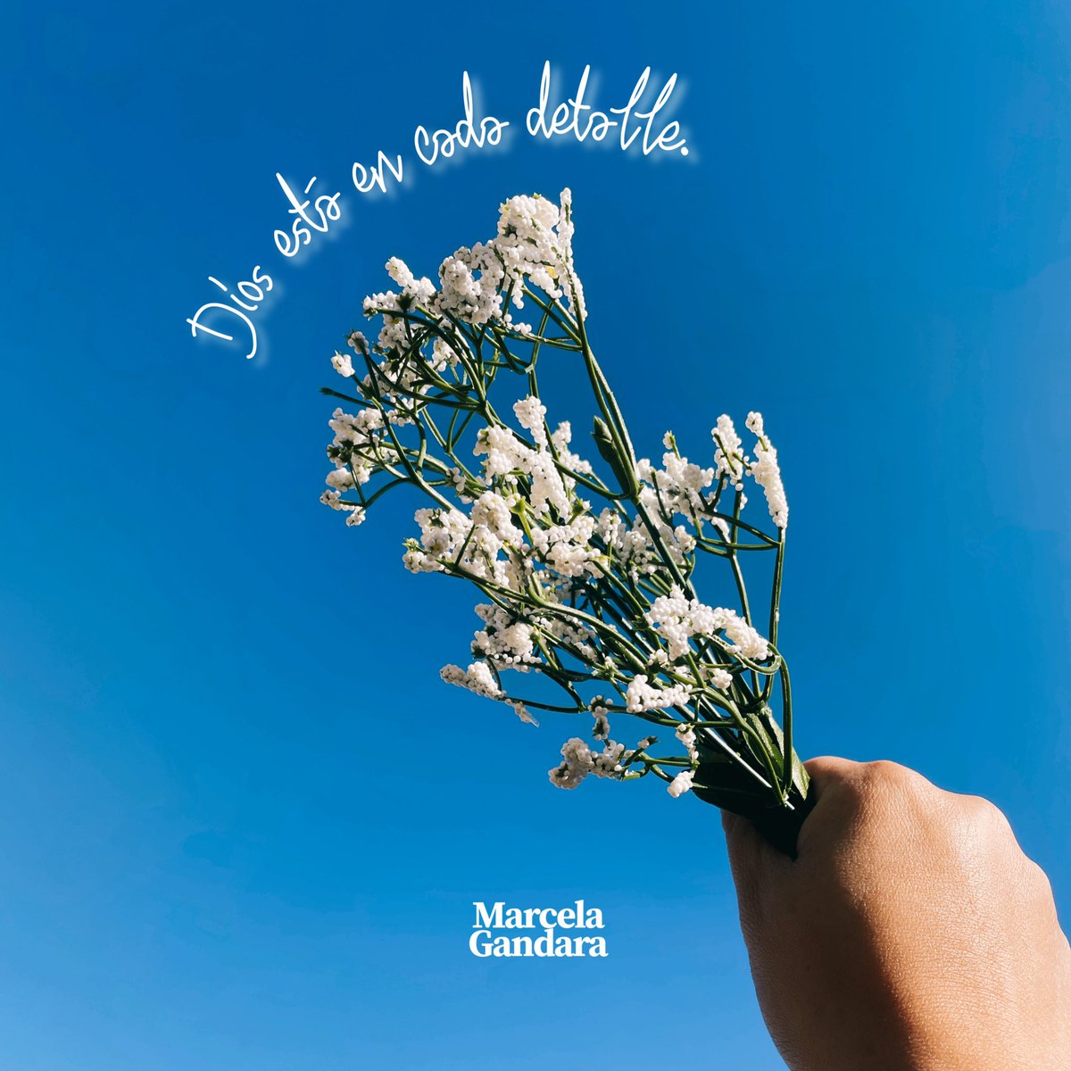 Marcela_Gandara's tweet photo. Dios no se olvida de nosotros , siempre está presente en todos los detalles , las flores , los cielos , las estrellas las hizo pensando en ti y en mi. ✨

Ya oíste ''Cuan dulce amor '' 🎶 en el link 
👉 https://t.co/77DpUgjXiD

 #musica #latinpop #mg #MarcelaGandara https://t.co/Ze8Qt1dWli