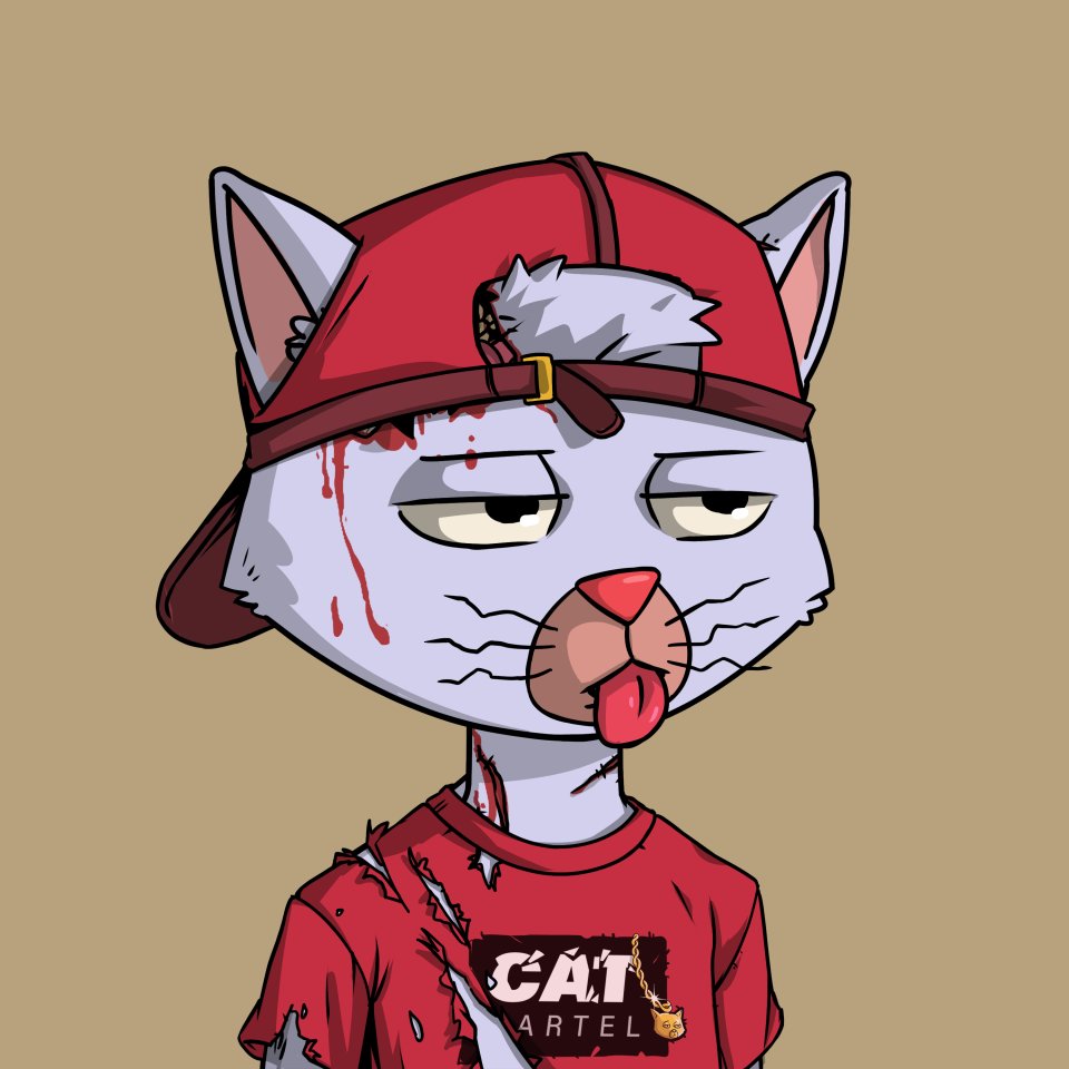 solnftnerd's tweet photo. Love the "Artwork Update" for @SolanaCatCartel! https://t.co/Eoa51tRpws