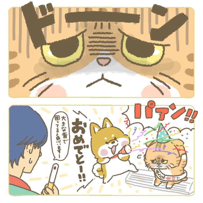 にゃんともお困りだと思います。。
#もちもち #お客様こまります #コンビニ #アルバイト #猫の日 #にゃんにゃんにゃんの日 