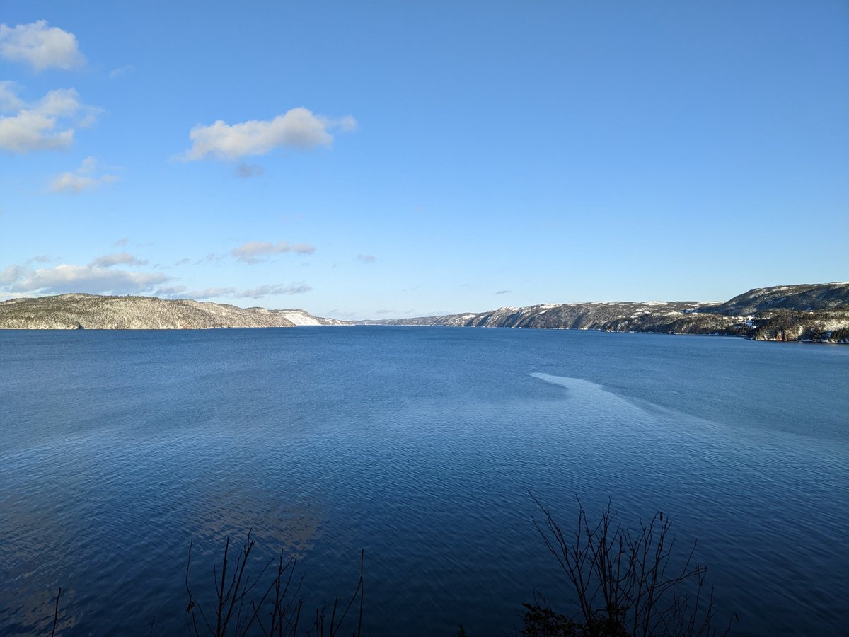 Shawn_Walters's tweet photo. Second (4 km) was closer to Petley. ❄️🌲 #RandomIsland #NLwx https://t.co/eV1Zrqto73