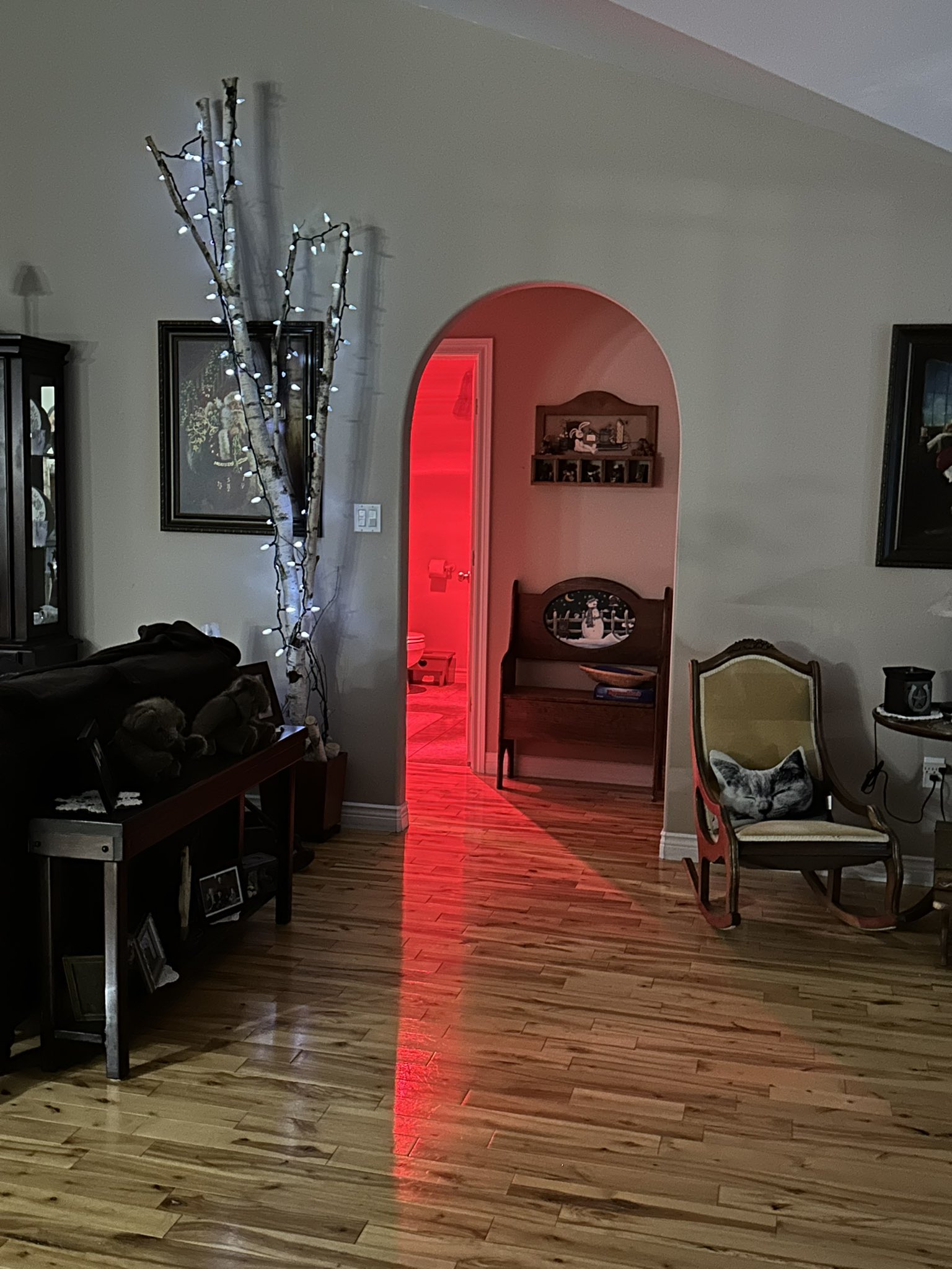 TW Pornstars 1 pic. Cory Kane. Twitter. My parents have heat lights