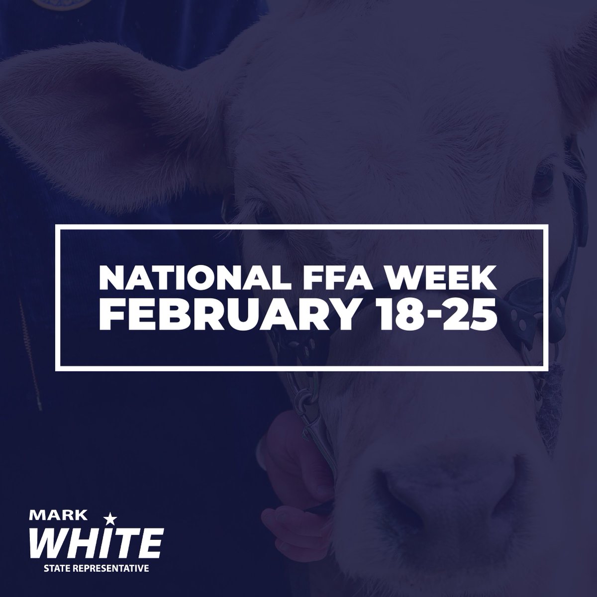 RepMarkWhiteTN's tweet photo. I’m proud to support the future of agriculture in Tennessee. Join me in celebrating National FFA Week and the incredible young minds in the FFA program. #FFAWeek2023 #TennesseeFFA https://t.co/mlZNX7Ad6u