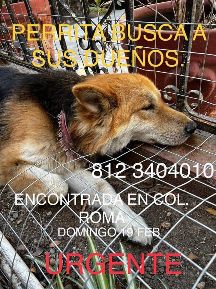 🙏🏻Me pueden ayudar dando ♻️para localizar a su familia.