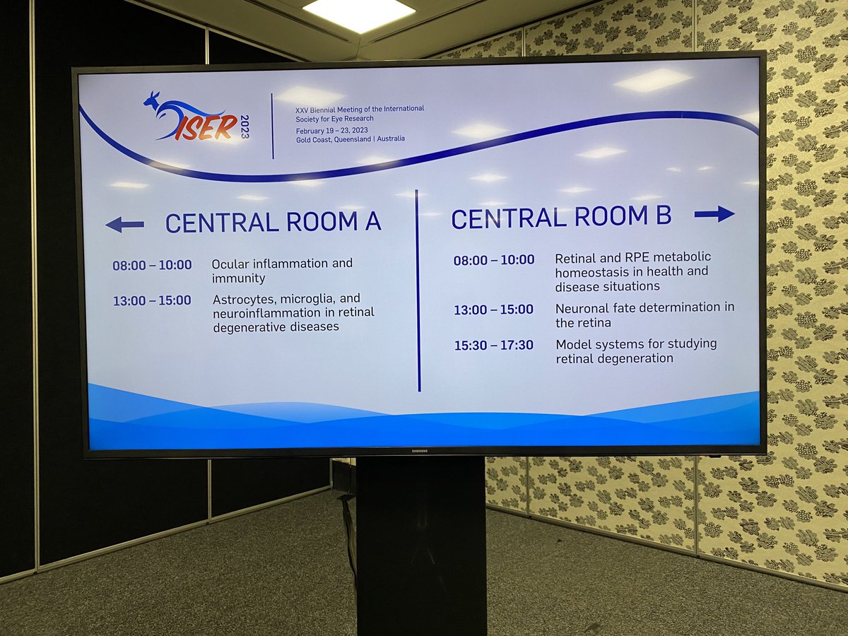 Prof Laura Downie tweet media