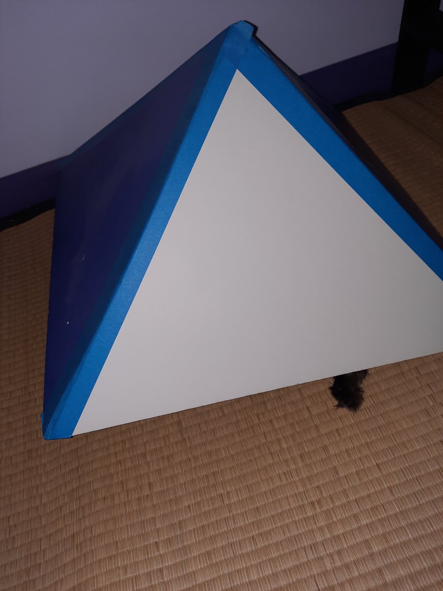The Egyptians new many 'secrets' but I'll tell you what, my #cat LOVES to go under this #pyramid based on Cheops!