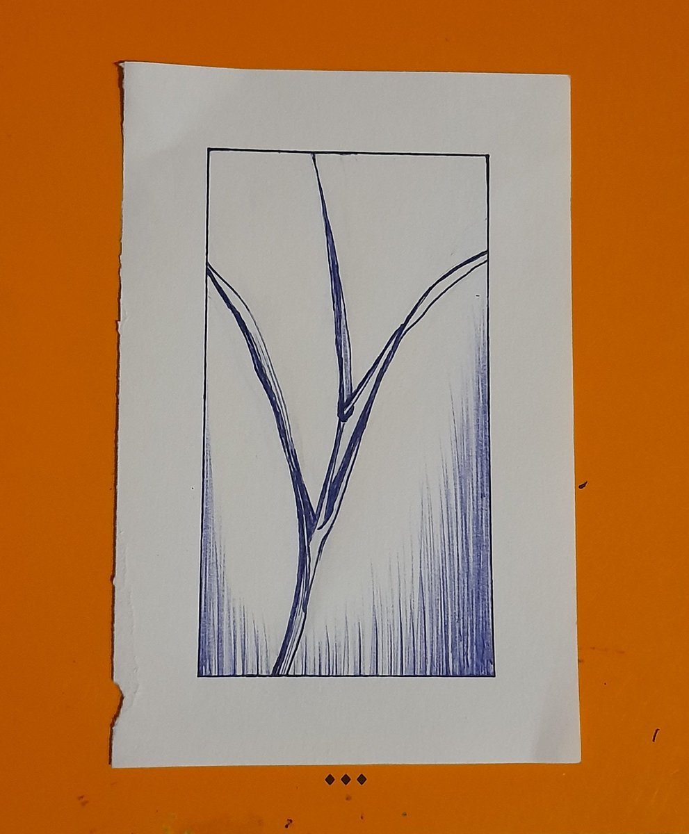 XxNightblazexX's tweet photo. Day 19. Feel like crap, but at least I've drawn smth. 
#FebruaryLeaves 
#oneaday
#challenge #nevergiveup
#art #leaves #grass #pen #drawing #sketch https://t.co/1Z1eZwigk0