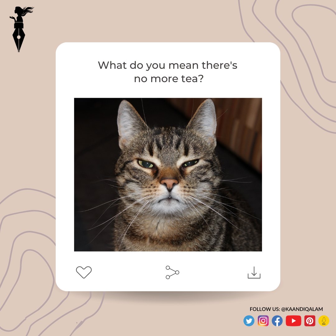 KaandiQalam's tweet photo. Tag your friends who easily get annoyed with little things also.
Aur le lo maze 😉
.
.
.
Follow | Share | Tag @kaandiqalam
.
.
.
.
.
#fatherinlaw #truefacts #funfacts #piyushmishra #influencer #funfactsoftheday #baap #valentineweek #sasurji #loveblog #funnyfacts #angrybird https://t.co/xewMr2wJR6