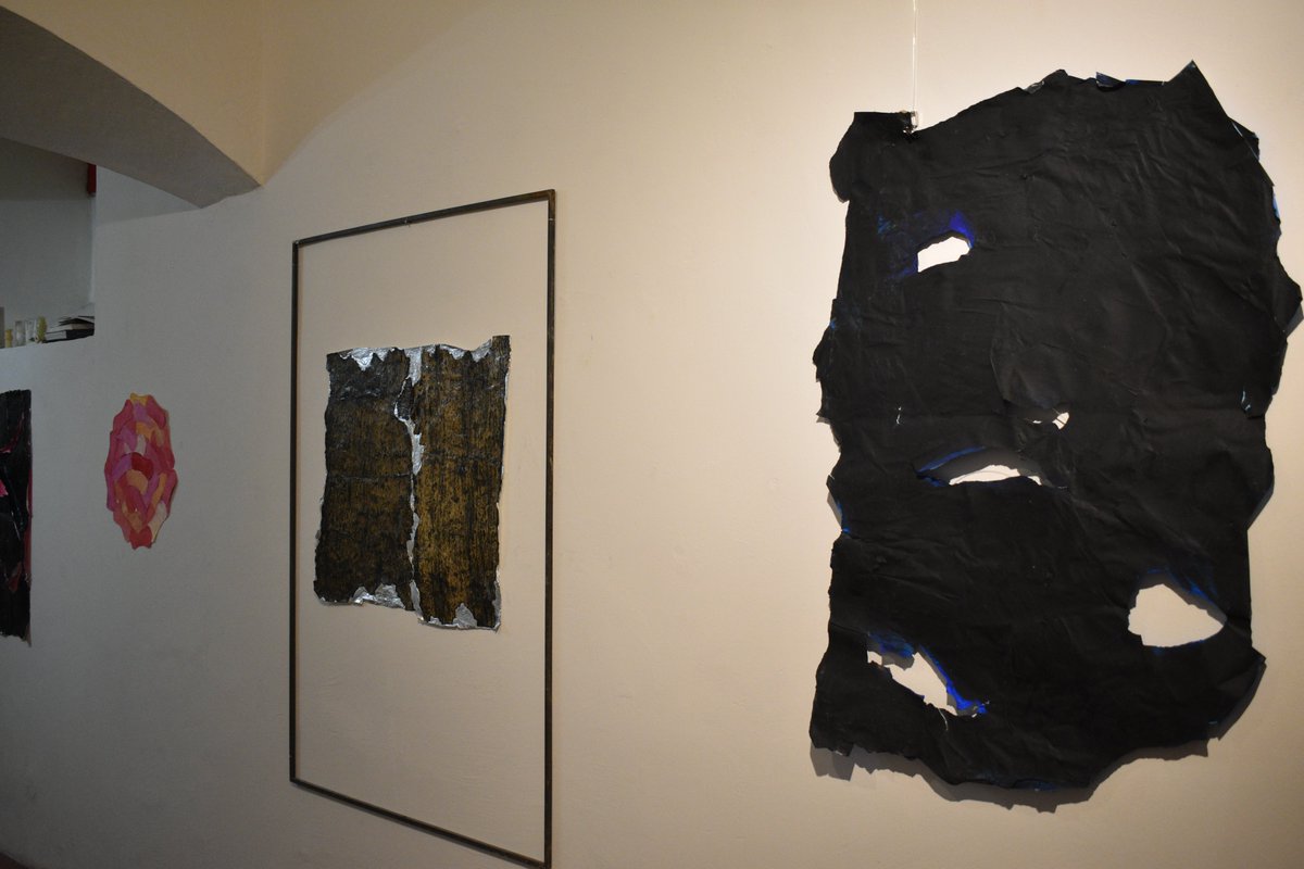 Birute Nomeda (@birutenomeda) on Twitter photo 