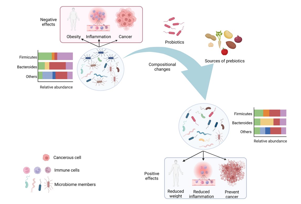 GutMicrobiota Health tweet media