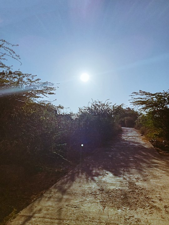 Prernakanani1's tweet photo. Kho Gaye ham kaha!!
Rango sa ye jahan ❤️
#beautiful_view #with_nature
#Natural_music #NatureBeauty
#NaturePhotography #hobby https://t.co/CP0uzvaC0h