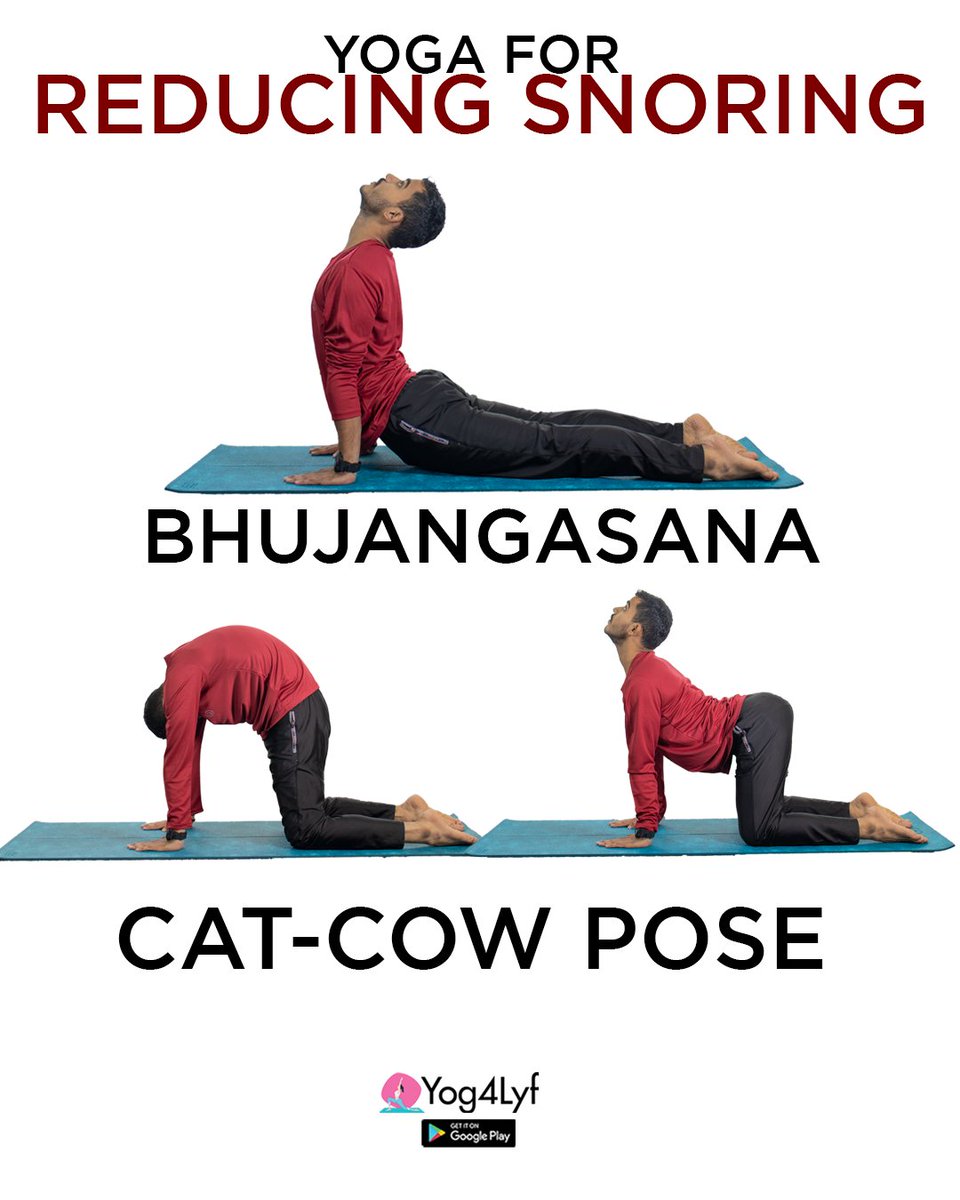 yog4lyf's tweet photo. Yoga to reduce snoring

#yoga #yog4lyf #kharrate #snoring https://t.co/TnFIUNS0DM