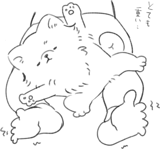 我が家の犬様、寝相が悪い 