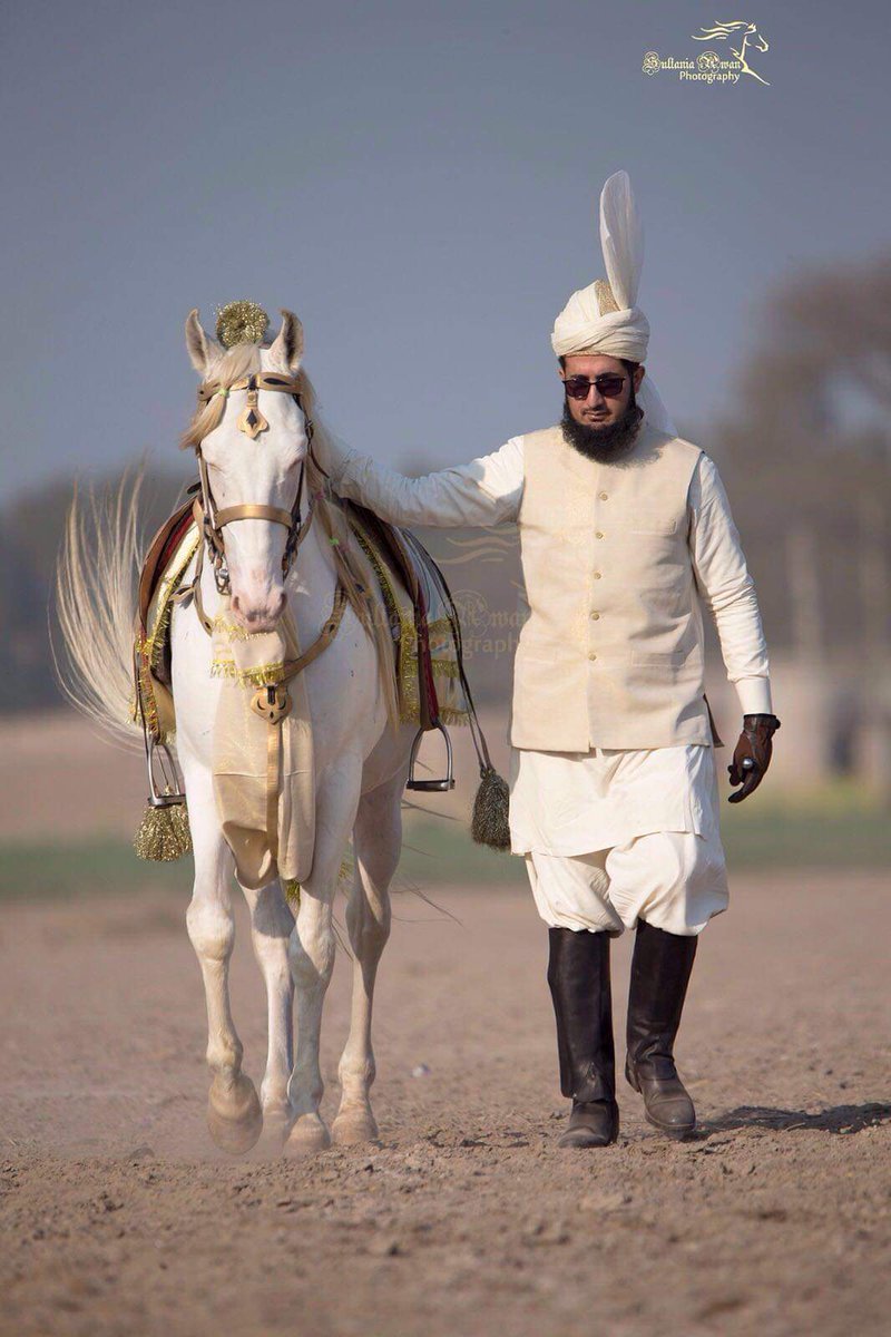 Muhamma29969346's tweet photo. 420
#SahibzadaSultan 
#TentPeggingWorldCup https://t.co/Zq2E1ulI3H