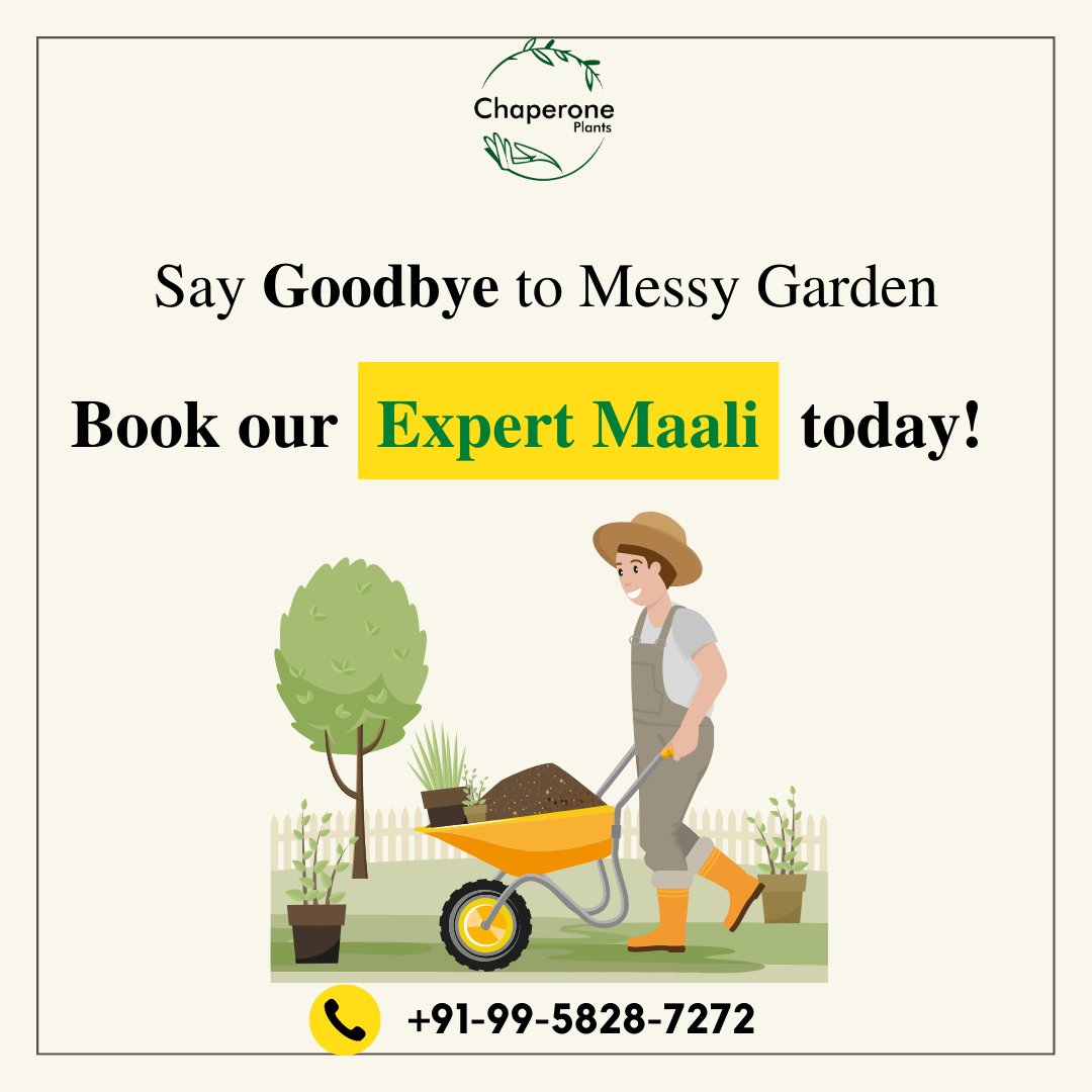 Got a messy garden? Not to worry!! Our expert Maali has got you in just 299.

Reach us out at 9958287272 for bookings.

#maaliservices #maali #gardencare #gardeningservices #gardeningtips #chaperoneplants #gurgaonstartups #startupindia #gardeningtipsforbeginners #delhincr