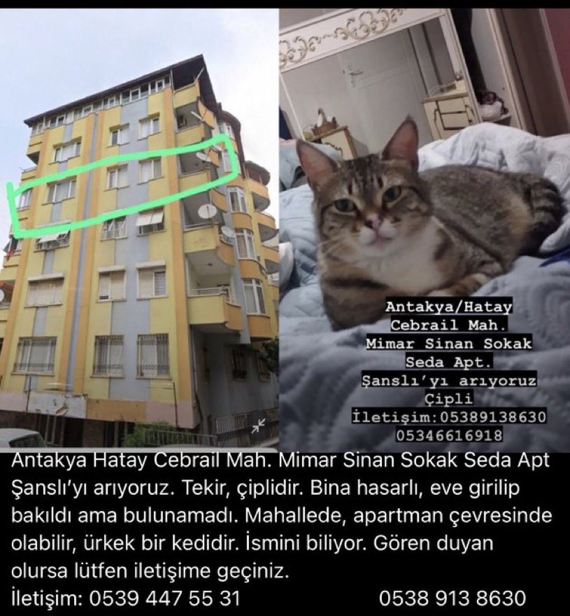 Ekipler gidip bakmıyor ikinci kez. Kayıp/ aranıyor diye güncelledim. Çok üzgünüm.. paylaşır mısınız? 

@egecihan6