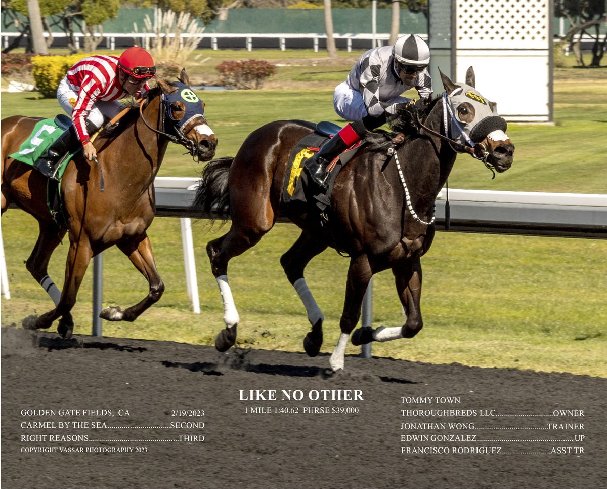 Like No Other made her first route race a winning one today @GGFracing. Congratulations and thank you to her owner and breeder Tommy Town Thoroughbreds @StullDebi & @EdwinGonzalz1 for yet another perfect ride @MJVETWong @annacotsteel @3coltshandicap @FLAIRstrips @CTBACalbred