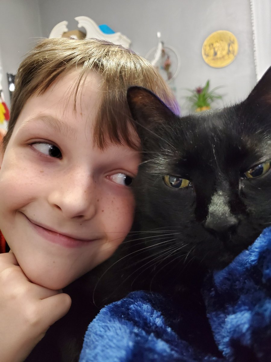 MrsBoukhari's tweet photo. We 💗 cats 🐈‍⬛️😍 #blackcatlove  #CatsOfTwitter #BlackCat https://t.co/44L02cS94Y