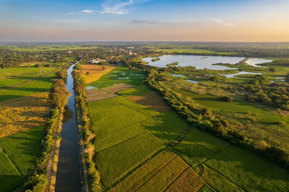 Srinivasa S tweet media