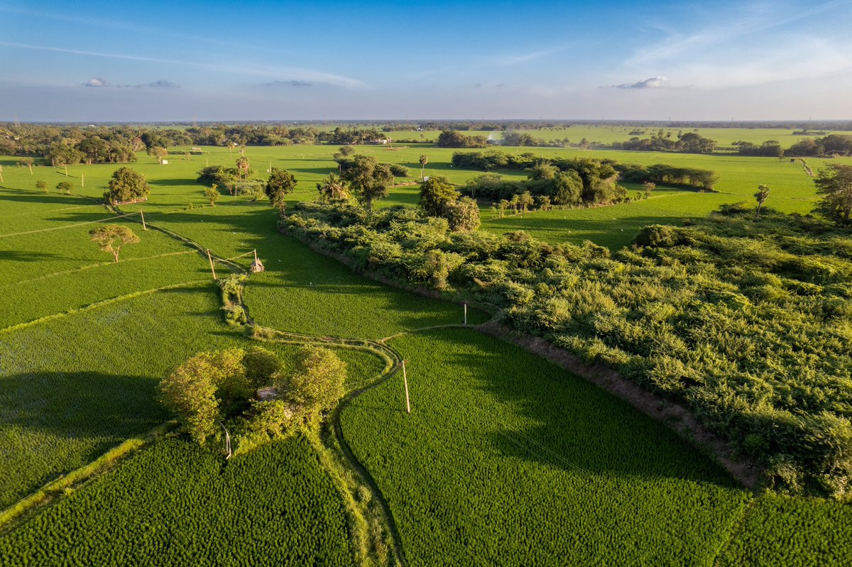 Srinivasa S tweet media