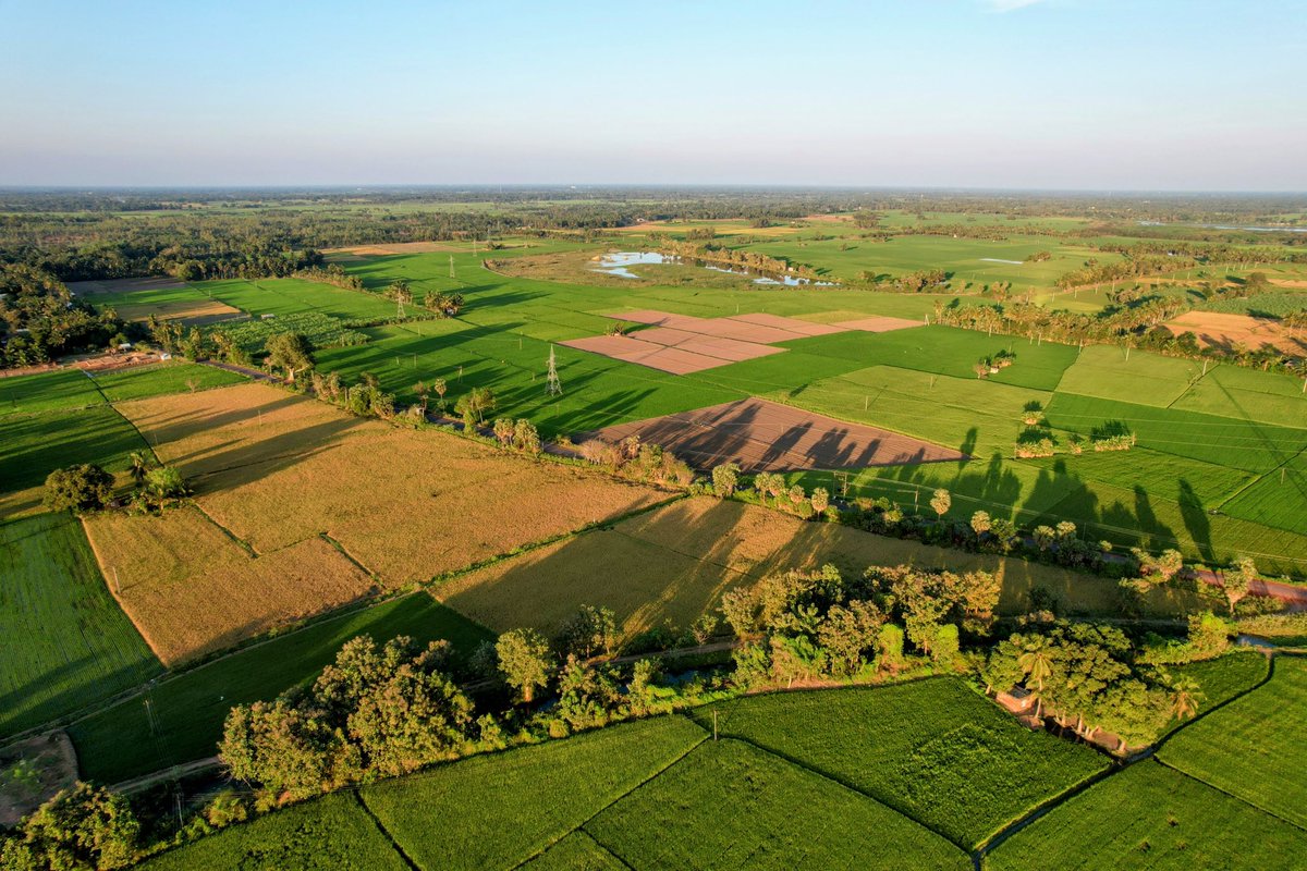 Srinivasa S tweet media