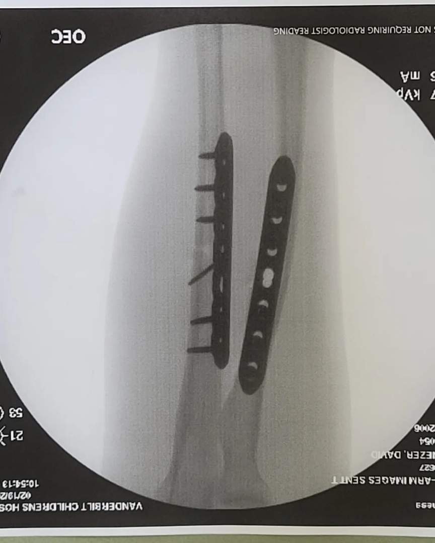 Julia Varpness tweet media