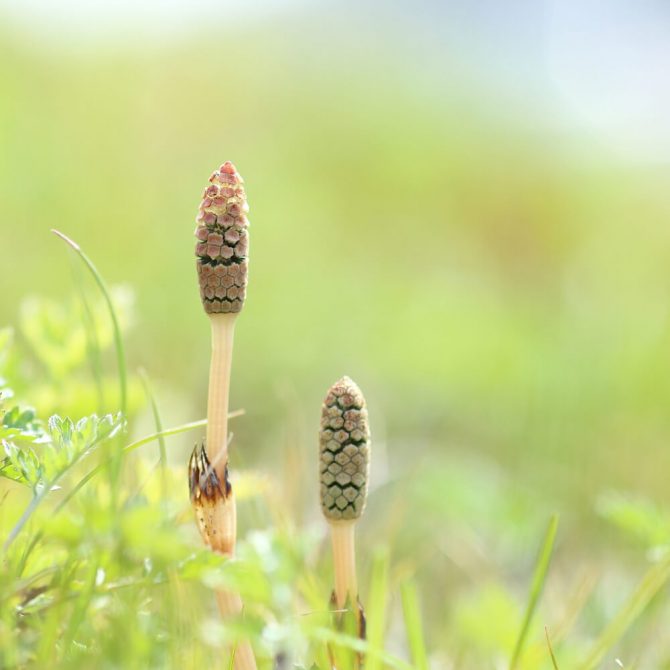 実は、これ、「やる気ホルモン」の働きです。 春になると私たちの体は、このやる気ホルモンが体内にぐっと増えてきて、活動的になるのです。 しかし、春になっても「何となくやる気が出ない…」と感じている人は、もしかすると、「やる気ホルモン」の分泌量が少ないのかも。
youtube.com/@KoharuKonoki