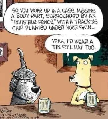 FpYDVsLWAAEW3xx?format=jpg&name=small