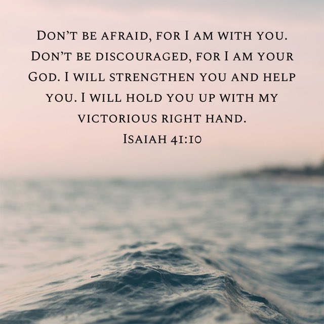 AlexZendejasKicking&Training tweet media