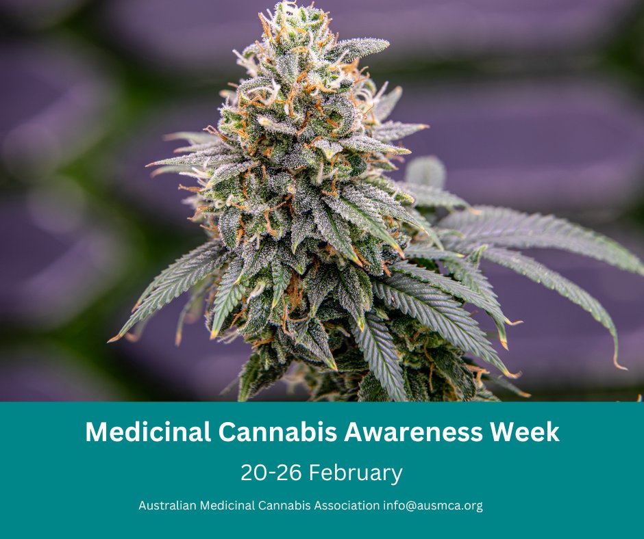BrianWalkerMLC's tweet photo. Today marks the beginning of Medicinal Cannabis Awareness Week! Combatting decades of propaganda and disinformation is crucial to change the image of a plant medicine that can alleviate human suffering.

https://t.co/EeCaVgqNUm https://t.co/8AXweFwbD8
