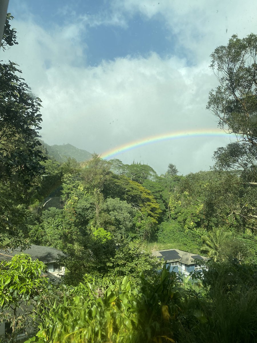 View from my living room