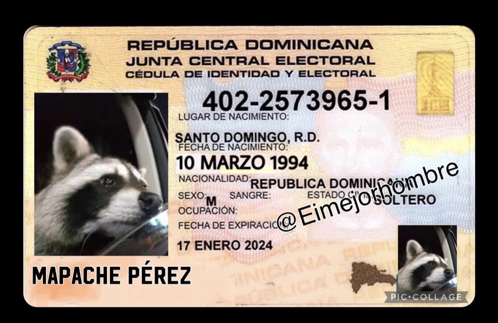 EiMejorHombre's tweet photo. Resulta que en Mapacha es buscado en Pennsylvania por varios delitos, dicen que se fue corriendo para Santo Domingo con documento falsos #FreeMapache https://t.co/nJNxSVhowf