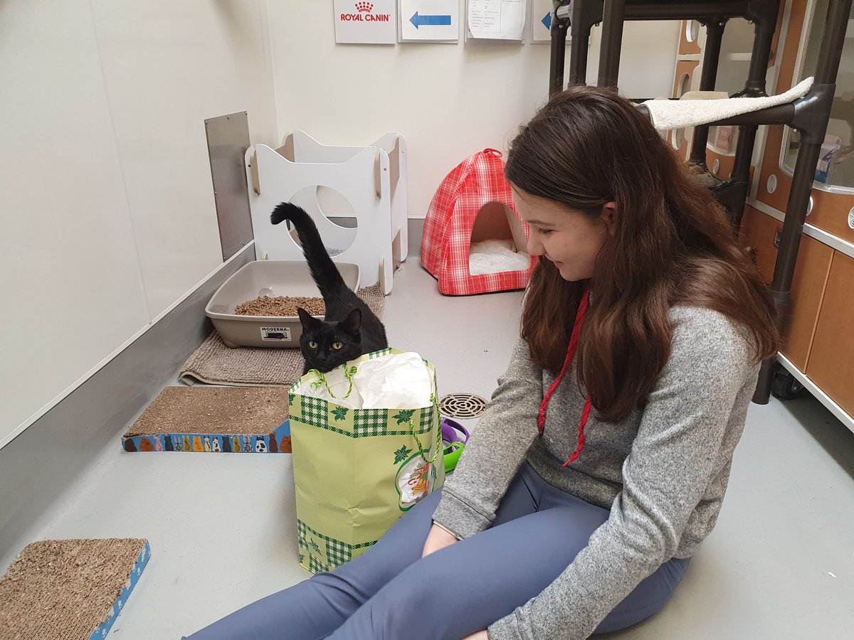 Tim James on Twitter "Great visit to the Surrey Animal Resource Centre