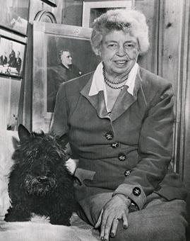 houndsofhope's tweet image. #Scottie Fala Roosevelt was so popular that he once starred in his own theatrical short! #FirstDogs #PresidentsDay