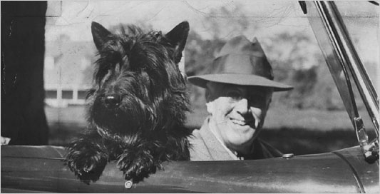 houndsofhope's tweet image. #Scottie Fala Roosevelt was so popular that he once starred in his own theatrical short! #FirstDogs #PresidentsDay