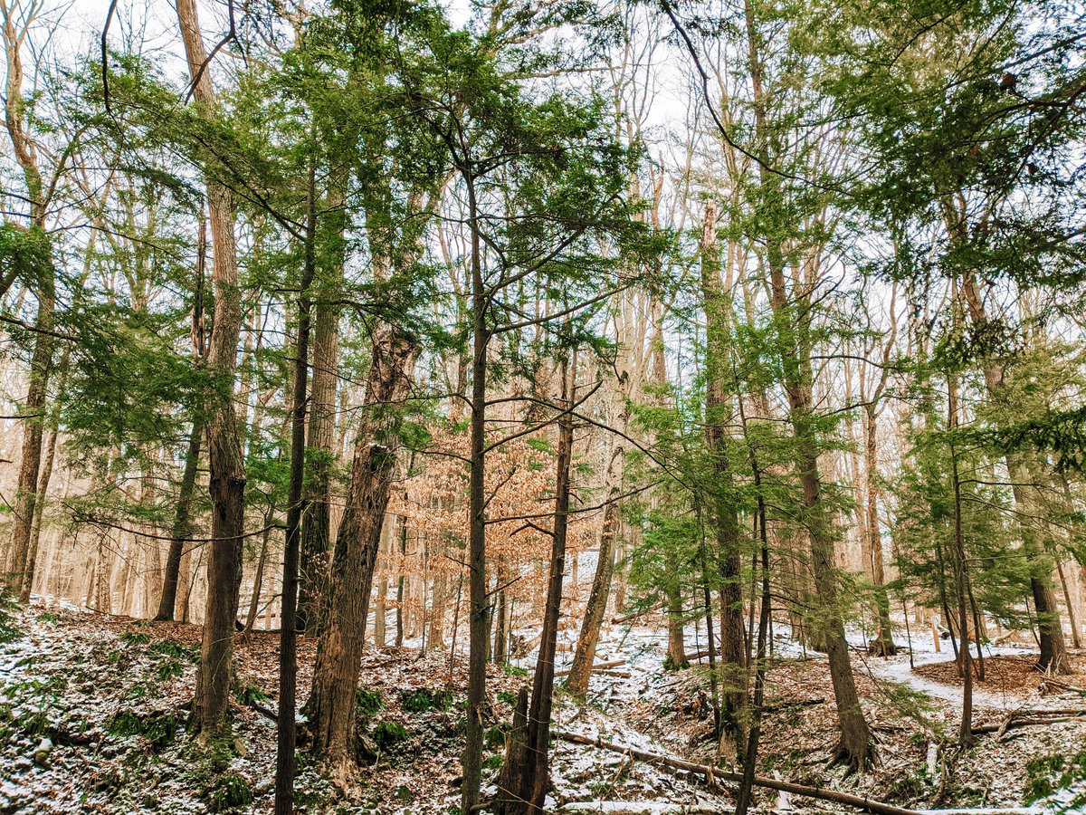 Long Point Eco-Adventures tweet media