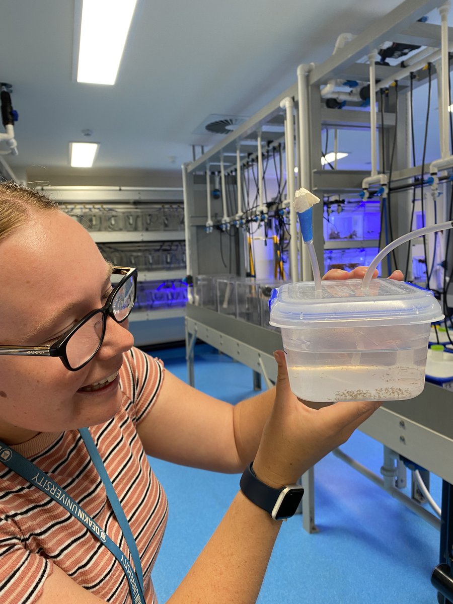 Prue Francis tweet media