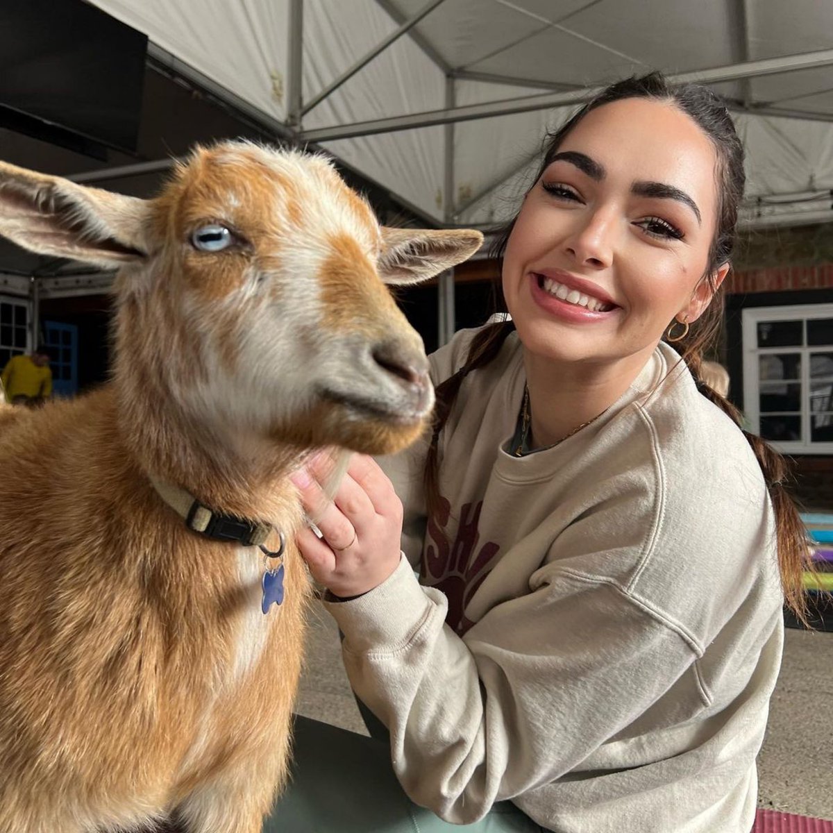 BearChaseBrew's tweet photo. Goat yoga today at @bearchasebrew with @clarke240 @bethawolfe and @walnutcreekfarmva!
📸: @peyclarke
#goatyoga #bearchasebrewery #bearchasebrew #bearchasebrewery https://t.co/0YPj9sHn2R