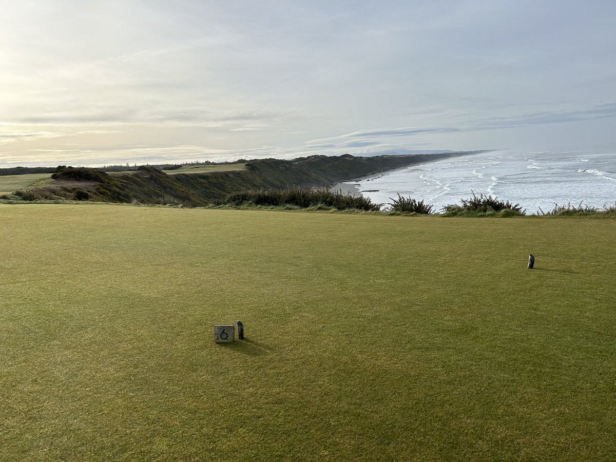 Randy Garg tweet media