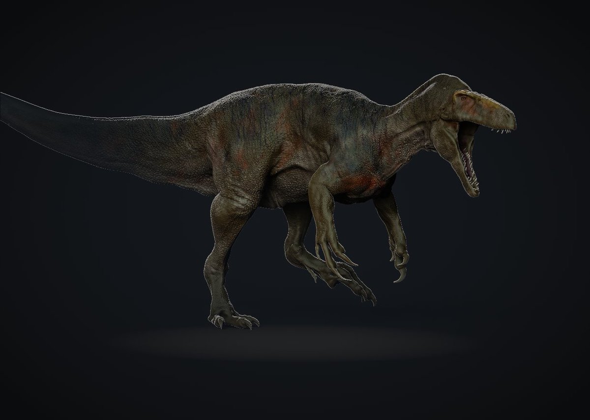 vankev's tweet image. Day 16 Australovenator

#FossilFebruary #FossilFebruary2023