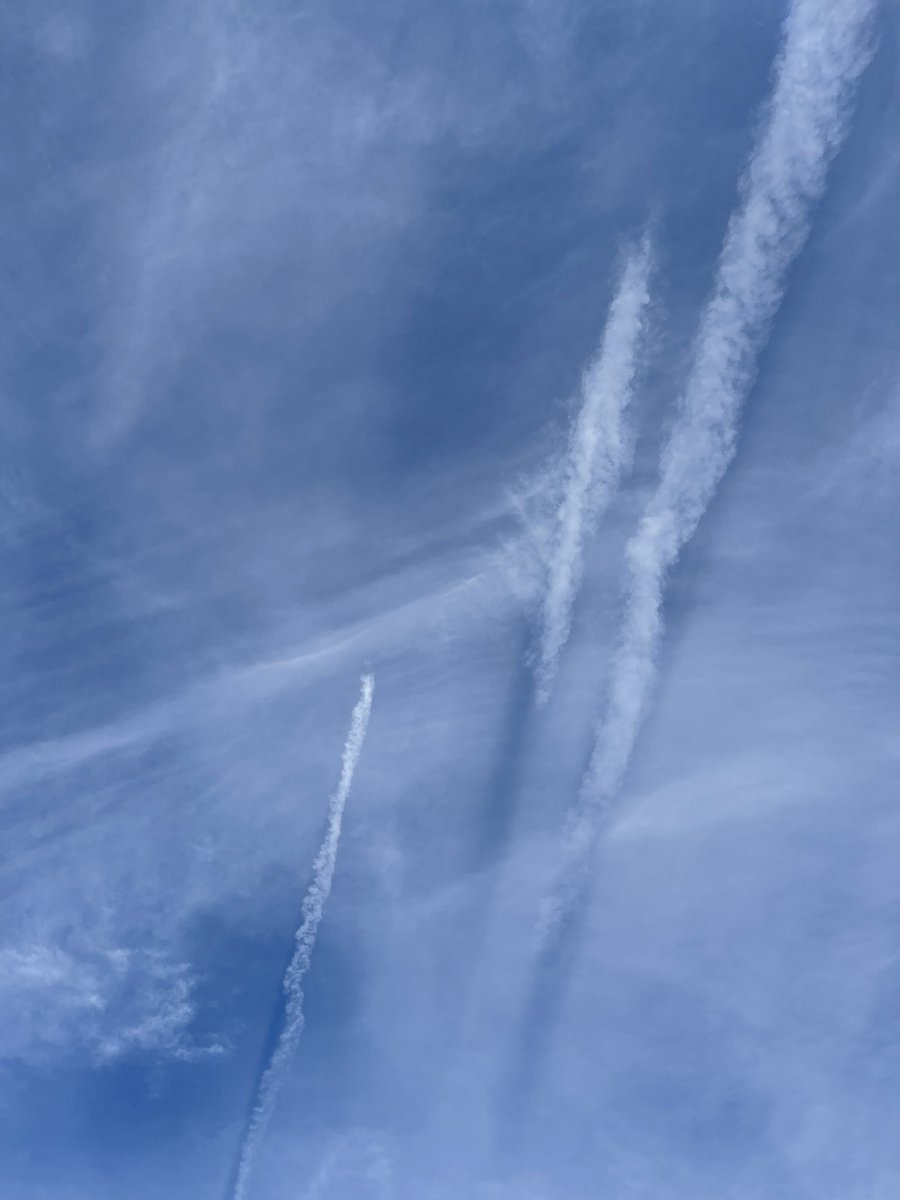 1776Rules_'s tweet image. This is causing coughing,wheezing,shortness of breath, symptoms of nausea, vomiting, diarrhea, irregular heartbeat, muscle weakness, tremors, paralysis and even death. Barium, aluminium, radioactive thorium and caesium,copper,titanium,silicon,lithium. #Morgellons #Chemtrails