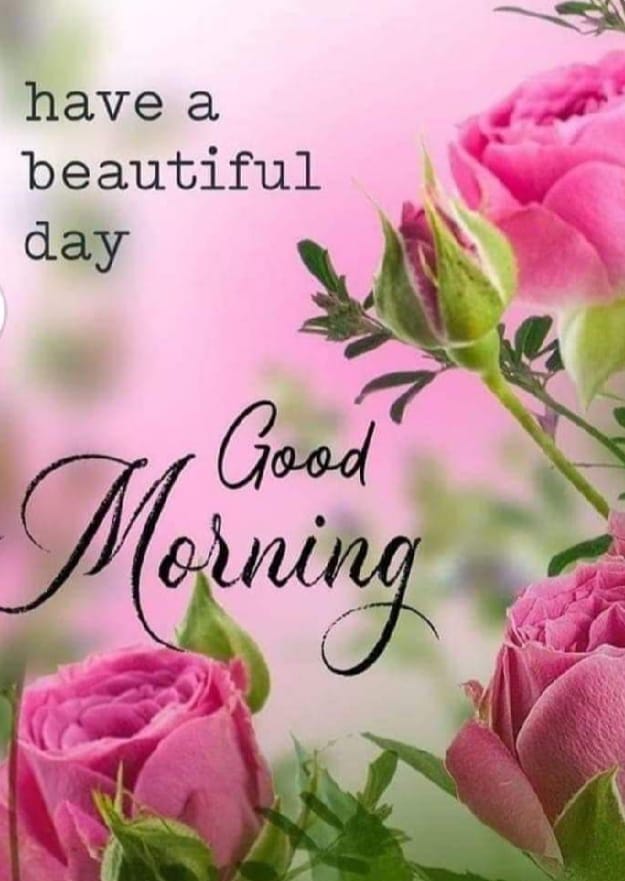 ract005's tweet image. The new week begins,
​Rg59 rg6 cat5e cat6 sdi cable is ready for you. Contact me any where.
Luis,​+8618968032863