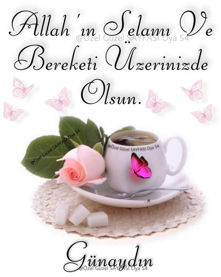gldalbalc4's tweet photo. Haftamız
Hayırlı
Huzurlu
Bereketiyle
Gelsin https://t.co/pmQE3bmrSg