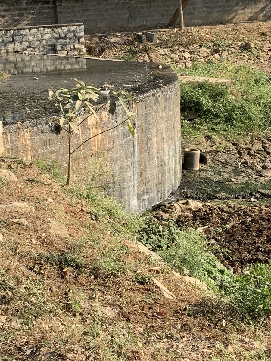 reddeppas's tweet photo. @swaccha_bbmp @chairmanbwssb this is situation of our lakes in Bangalore. Sewage water flowing into lake in vajarahalli Kanakapura Road. Please do something https://t.co/5OKbtZBbvn